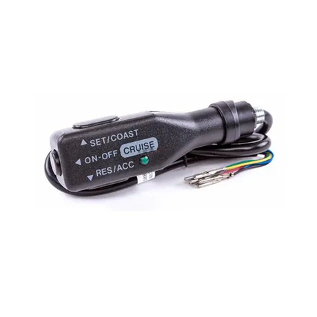 Cruise Control Switch