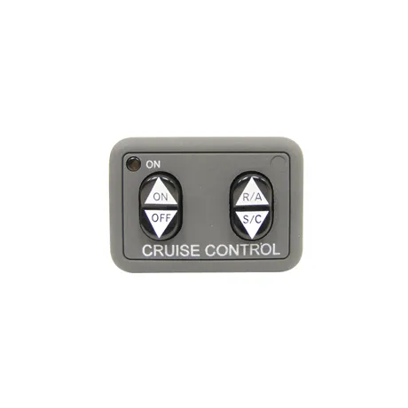 Cruise Control Switch