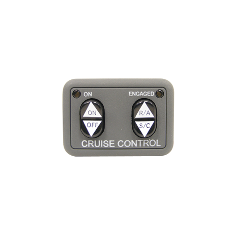 Cruise Control Switch