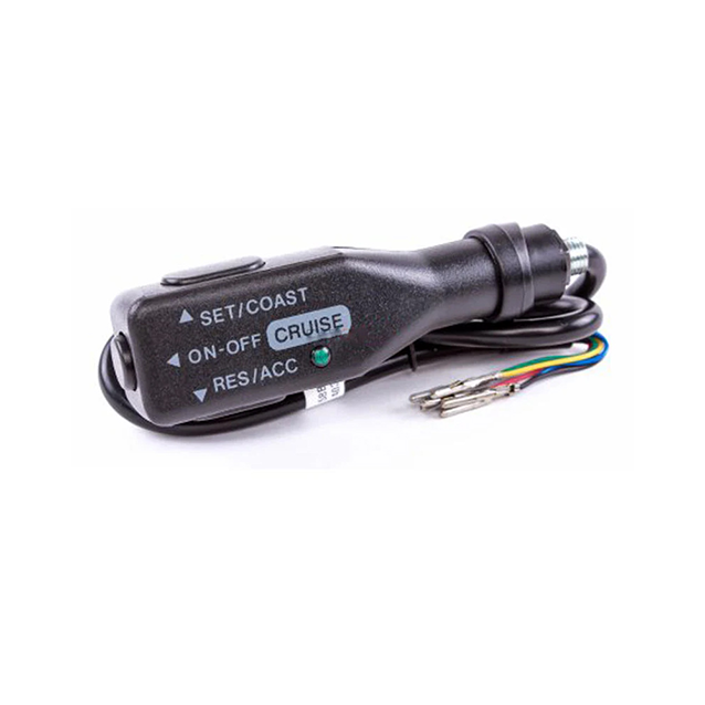 Cruise Control Switch