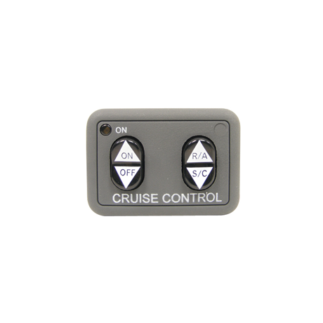 Cruise Control Switch