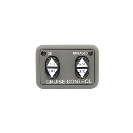 Cruise Control Switch