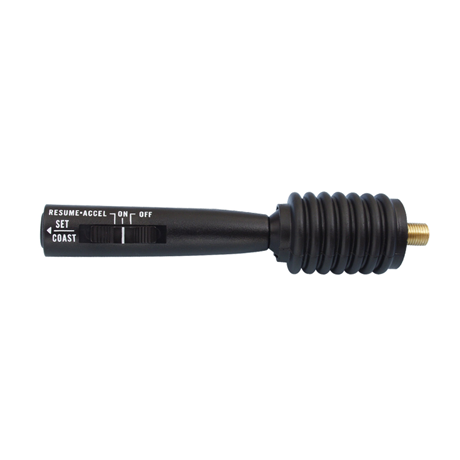 Cruise Control Switch