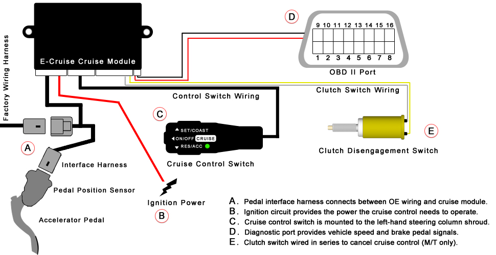 Electronic cruise control system layout